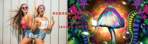 ПСИЛОЦИБИНОВЫЕ ГРИБЫ Алексеевка