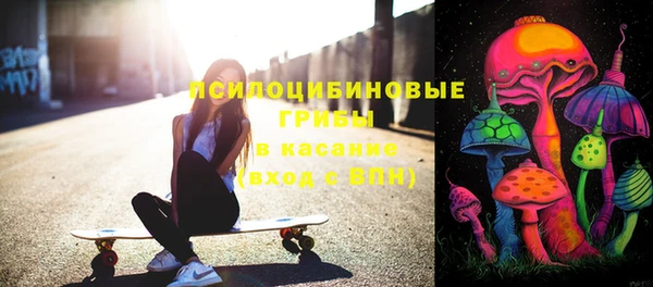 ПСИЛОЦИБИНОВЫЕ ГРИБЫ Алексеевка