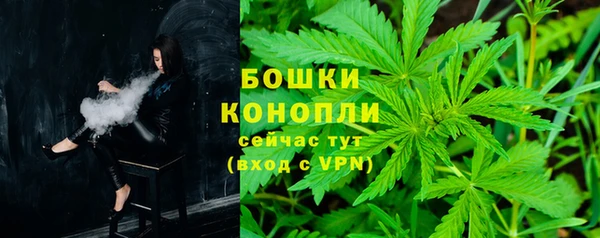 ПСИЛОЦИБИНОВЫЕ ГРИБЫ Алексеевка